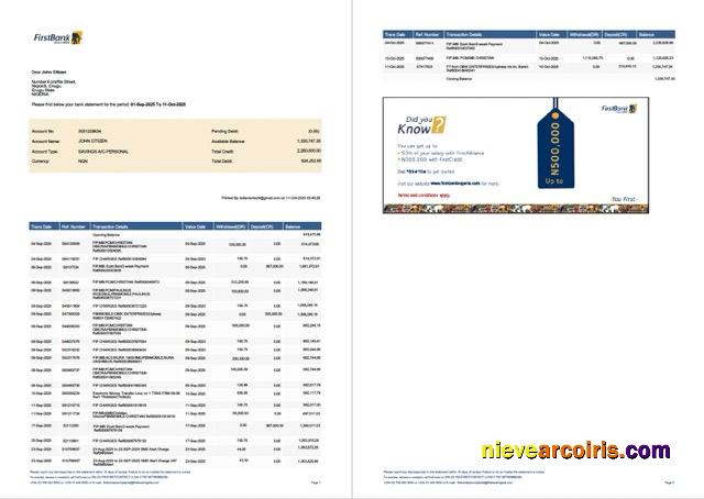 Nigeria First Bank account statement Word and PDF, 2 pages, version 2